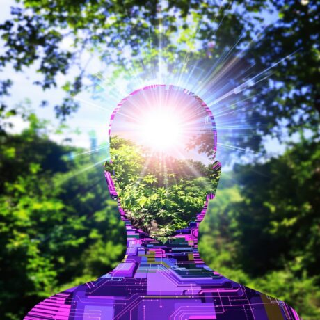 Psychische Gesundheit