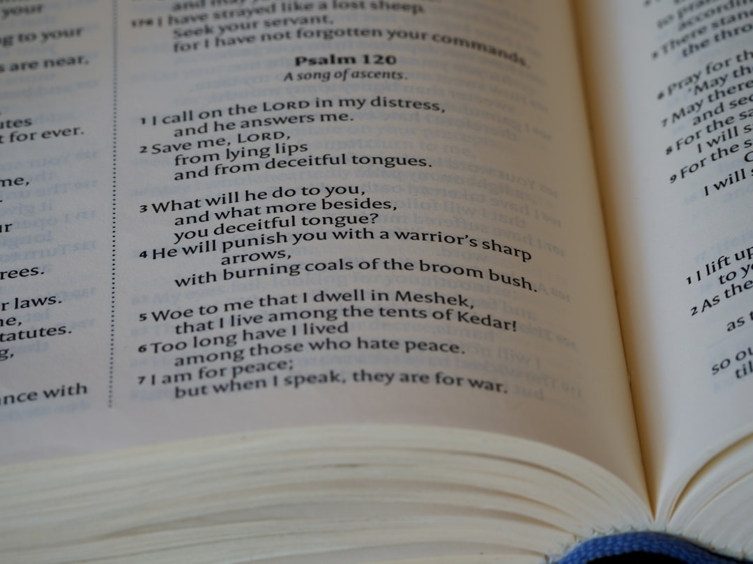 language learning books