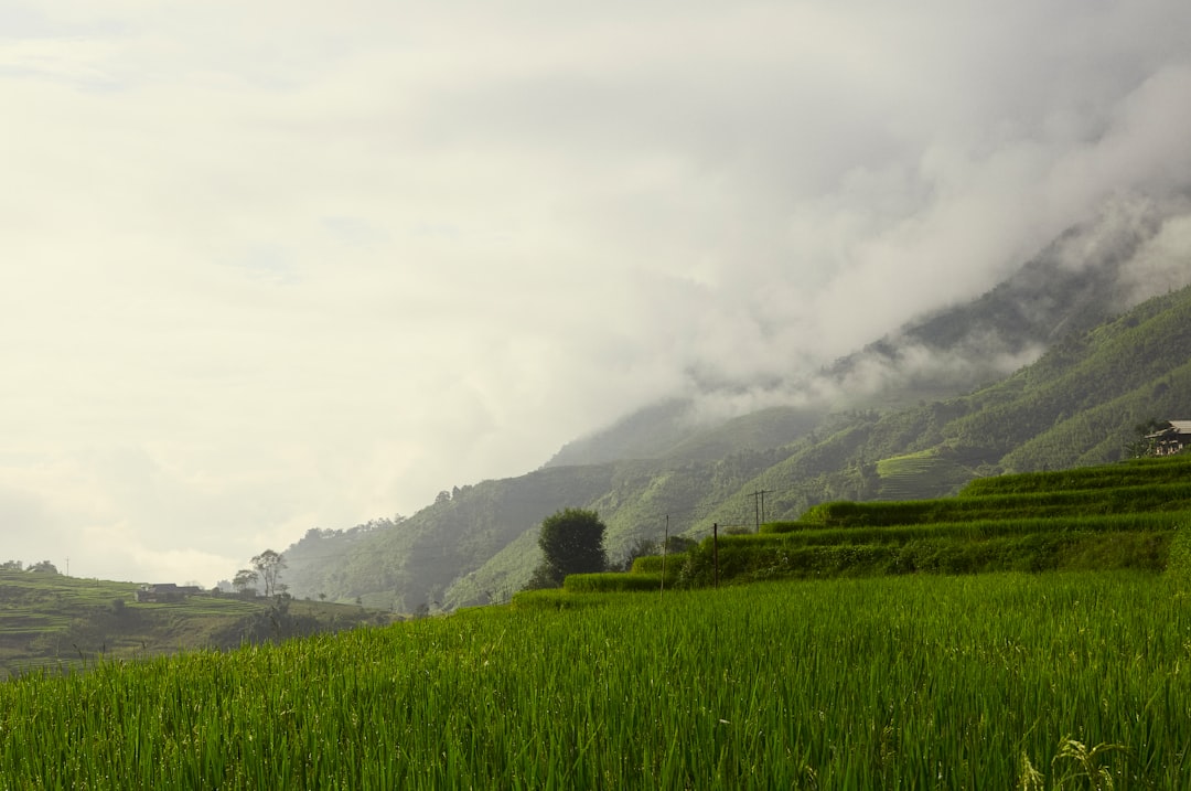 sustainable agriculture landscape