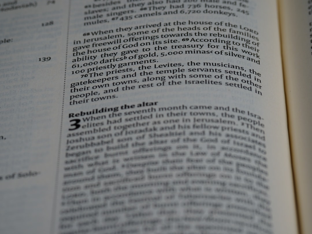 english grammar basics