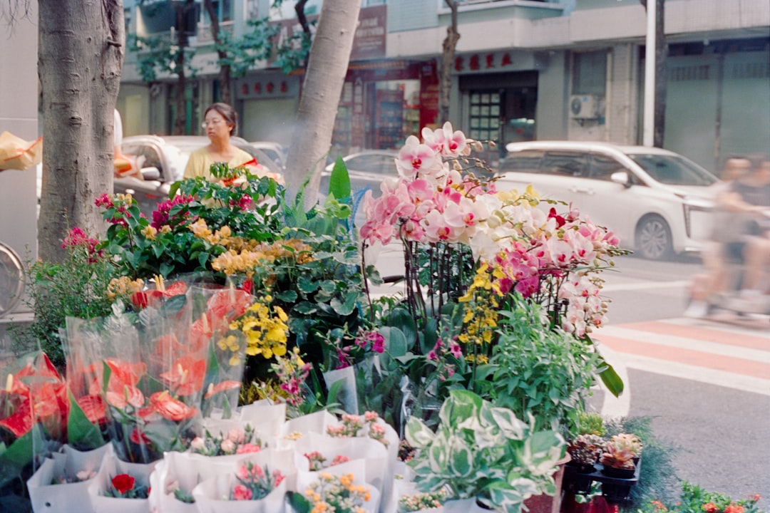 florist arranging flowers